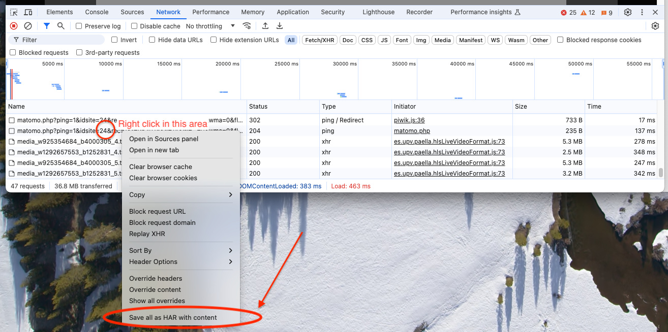 Chrome Network logs